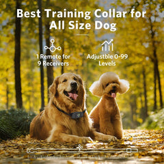 DOG CARE dog training collar beep-mode close-up emphasizes clear audible cues.