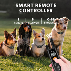 DOG CARE dog training collar remote panel highlights long-range control for park sessions.