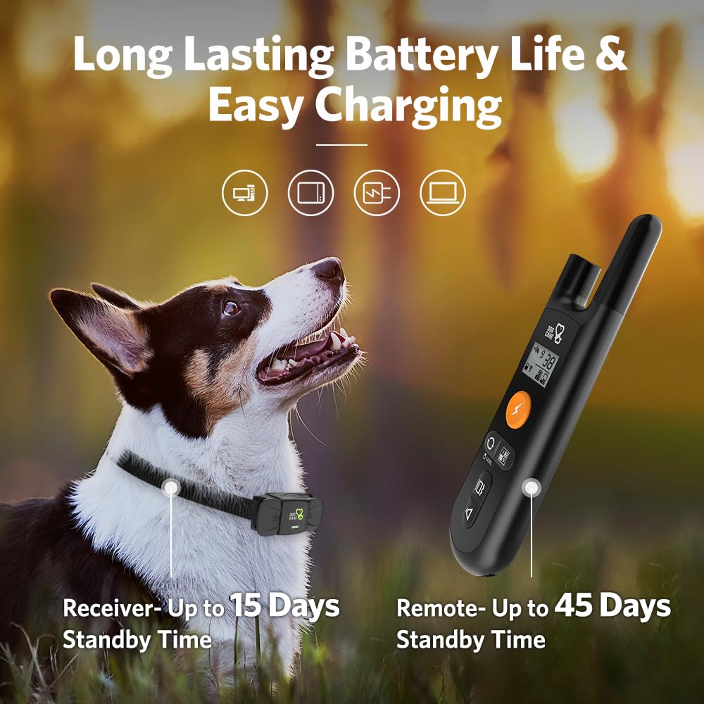 DOG CARE dog training collar vibration-mode close-up shows gentle correction options.