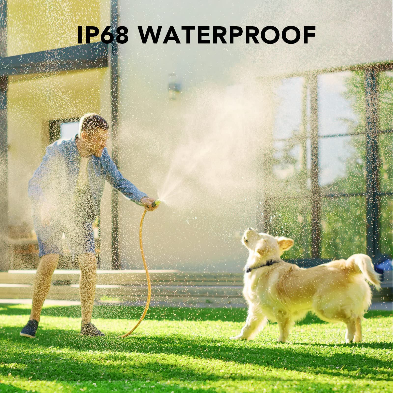 DOG CARE IP67 waterproof collar used outdoors in mud or rain.