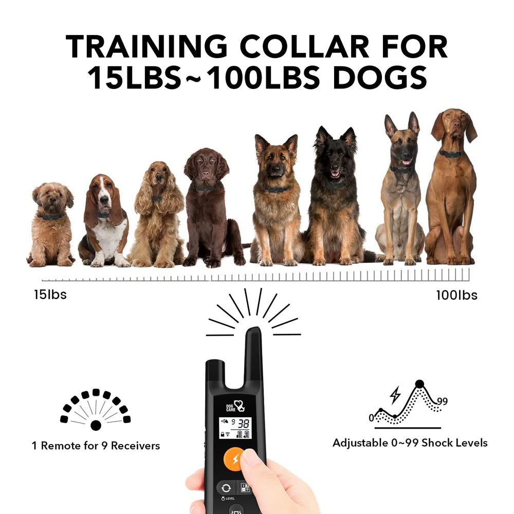 DOG CARE training collar in park use demonstrating beep and vibration modes.