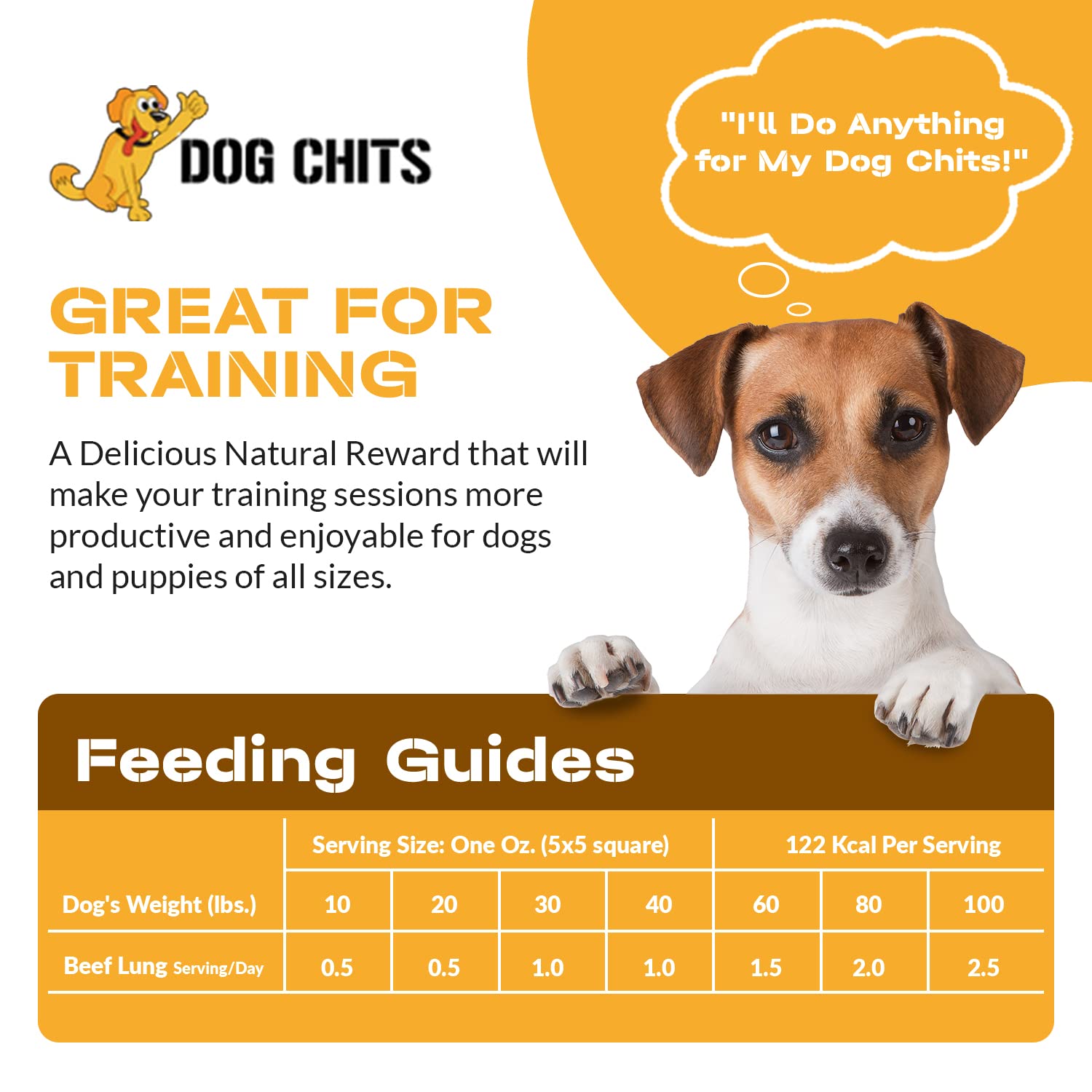 Dog Chits beef lung fillets 5 oz bag ready for everyday treats