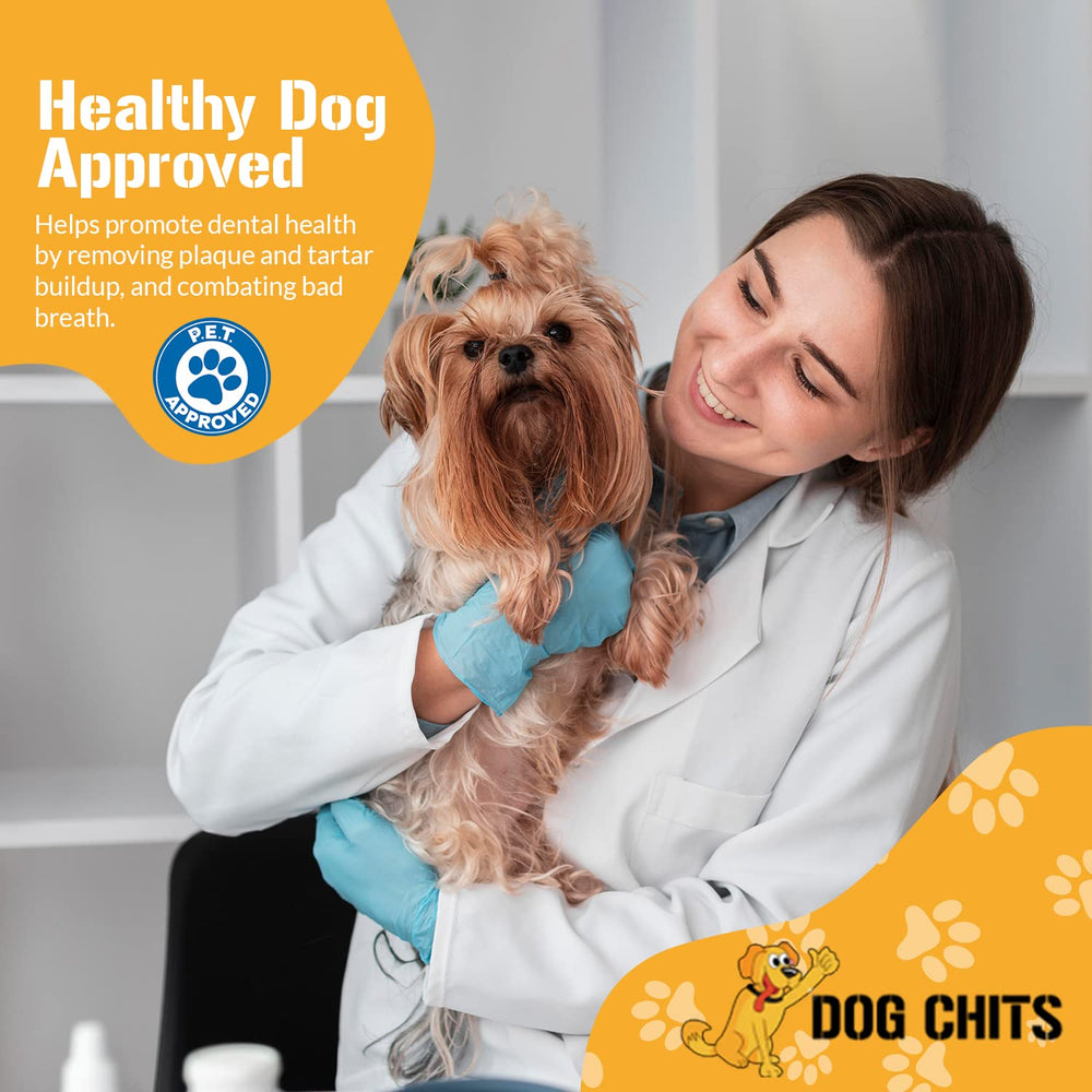Dog Chits beef lung fillets easy-chew squares for gentle chewers