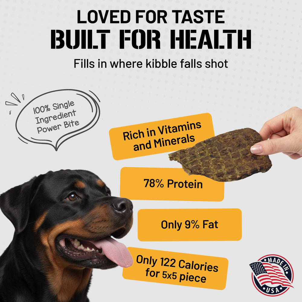 Dog Chits Beef Lung Fillets resealable bag close-up shows single-ingredient air-dried goodness.