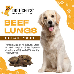 Dog Chits beef lung fillets training reward close-up