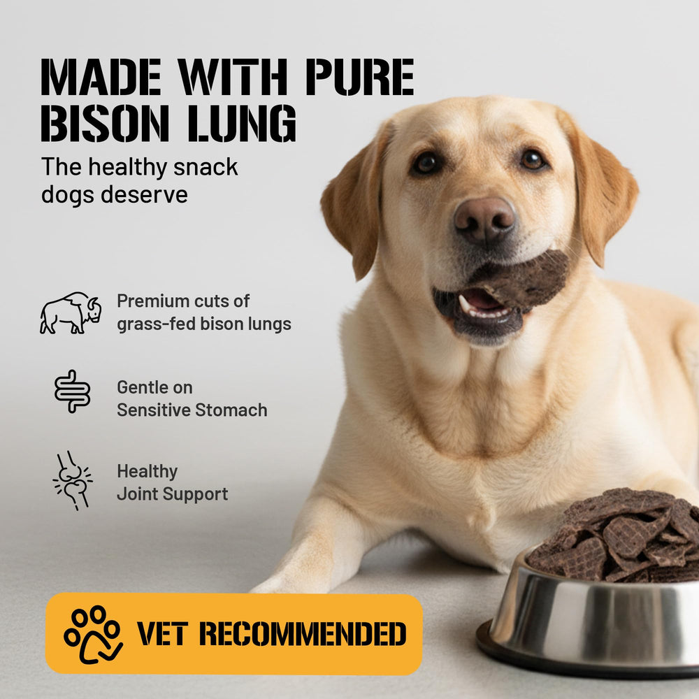 Dog Chits bison lung fillets ingredients no-grain emphasize single-ingredient snack.