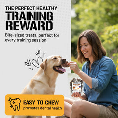 Dog Chits bison lung fillets packaging closeup highlights USA-sourced farming behind each bite.