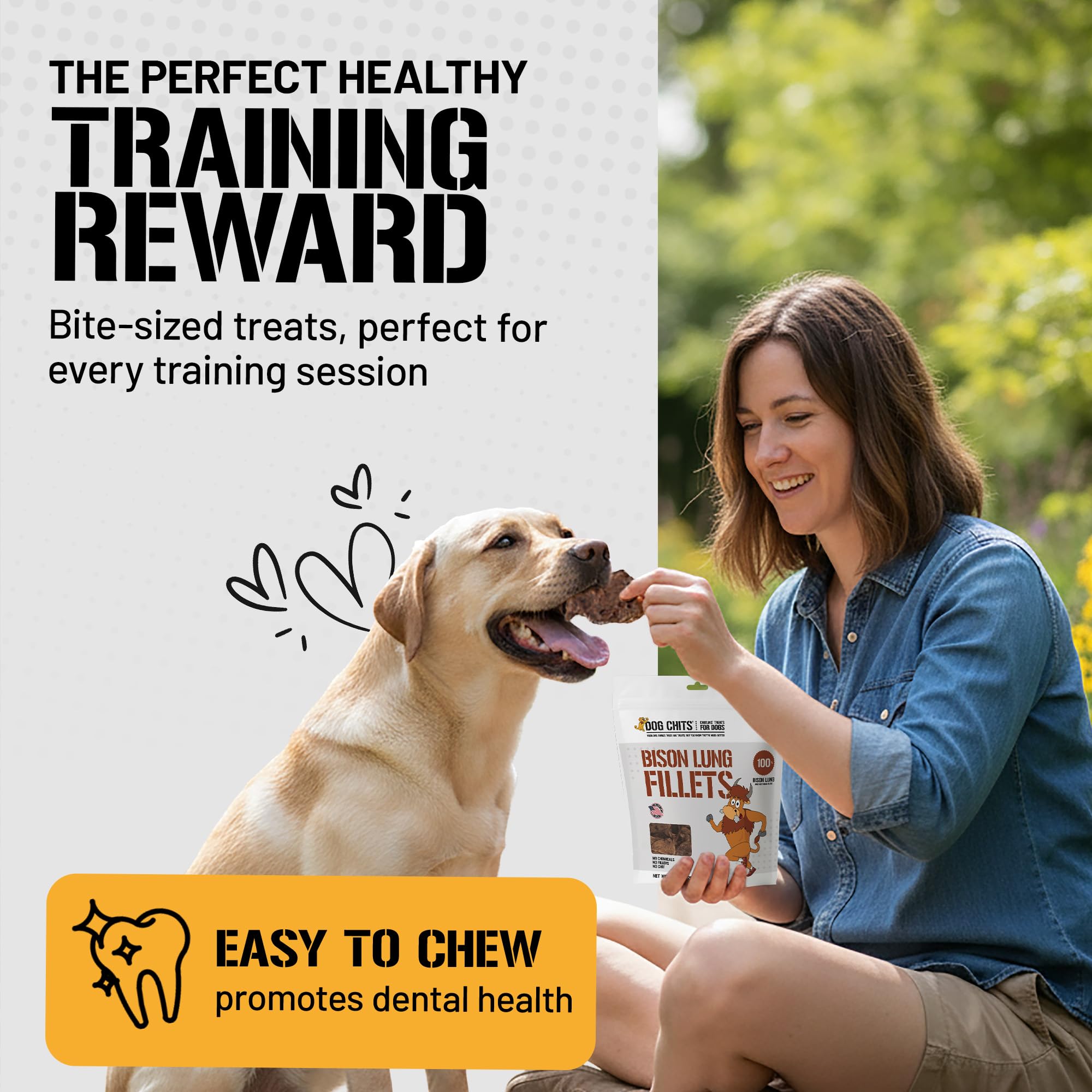 Dog Chits bison lung fillets training-treat close-up shows bite-sized motivation.