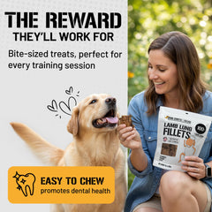 Dog Chits Lamb Lung Fillets easy-chew texture for dental-friendly dogs.