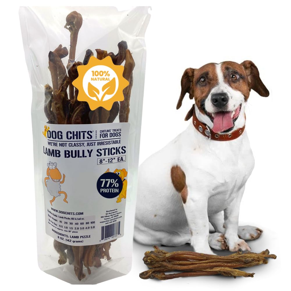 Dog Chits lamb-pizzle bully stick 8in close-up for durable chewing