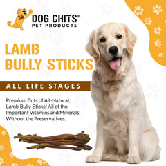Dog Chits lamb-pizzle bully sticks 8in pack showcased for long-lasting engagement
