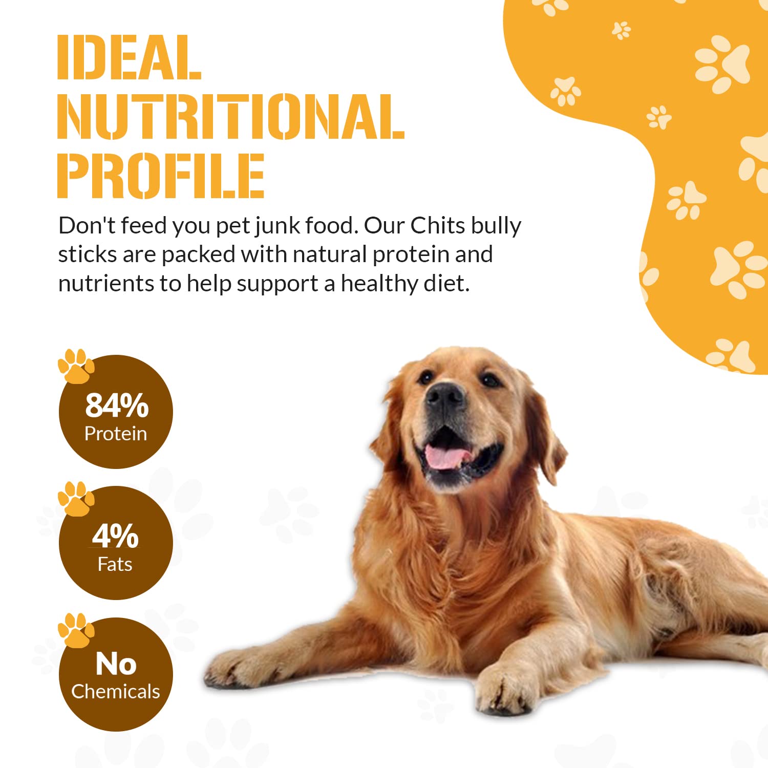 Dog Chits lamb-pizzle bully stick 8in feature natural texture for dental-friendly chew