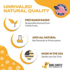 Dog Chits lamb-pizzle bully stick 8in baked surface for easier chew