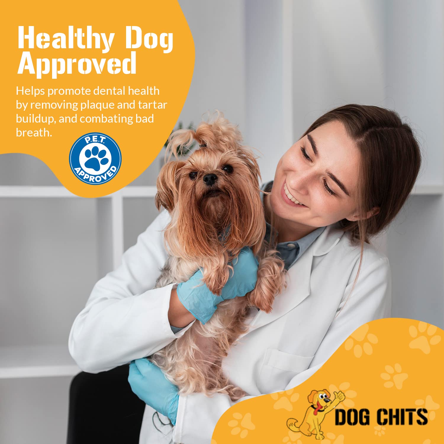 Dog Chits lamb-pizzle bully stick 8in 12-pack display shows high protein snack