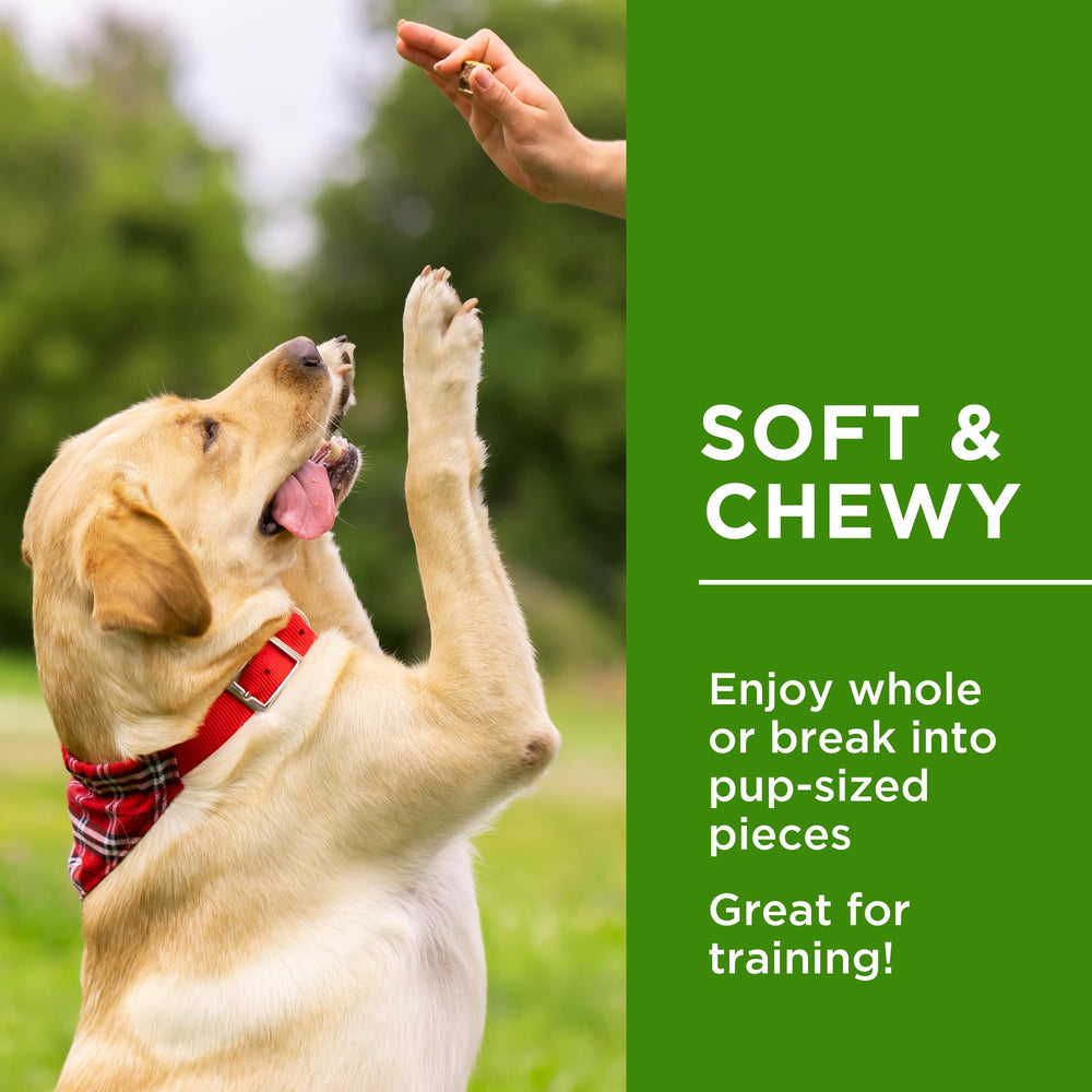 Dog Delights Chewy Duck Sticks bite-size options enable portion-controlled treats during sessions.