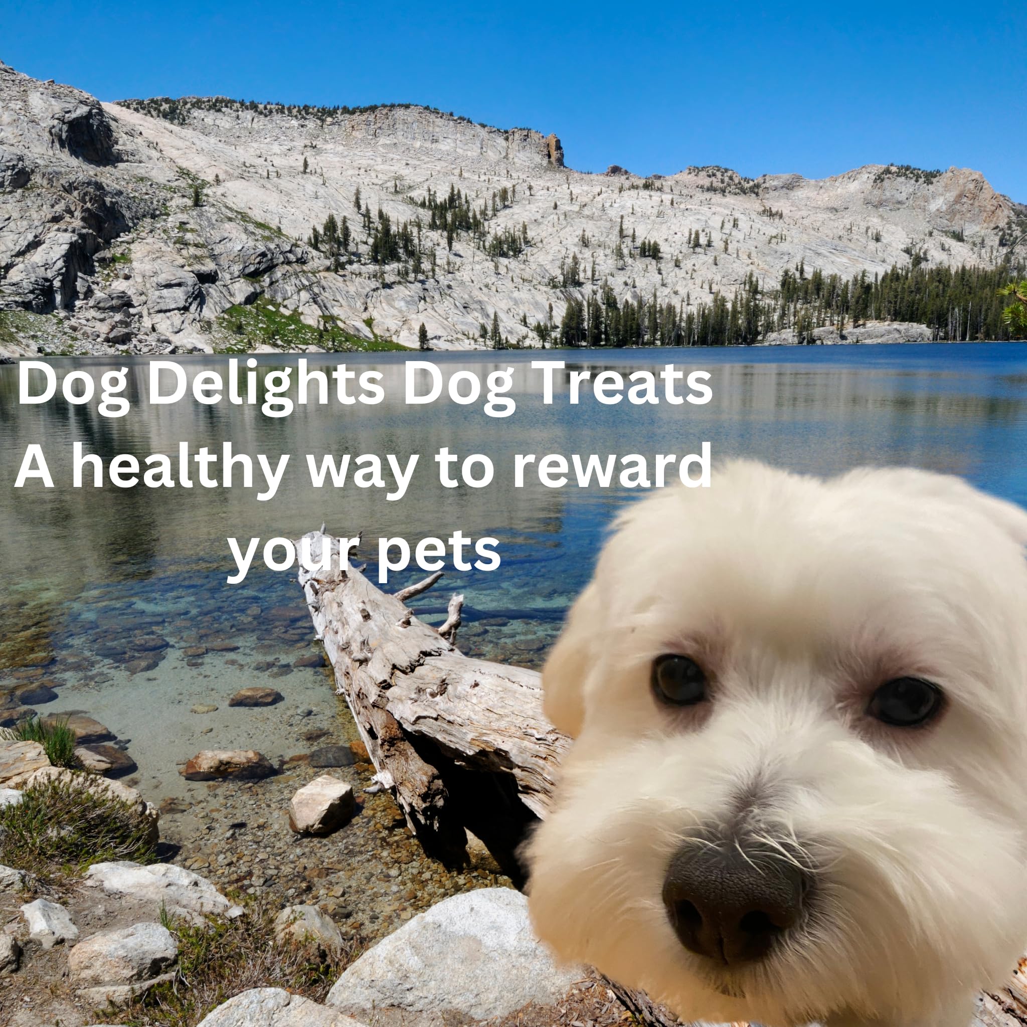 Dog Delights Chewy Duck Sticks ingredients highlight natural, preservative-free recipe.