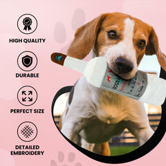 Dog Diggin Designs Libation Station playtime action for active fetch sessions