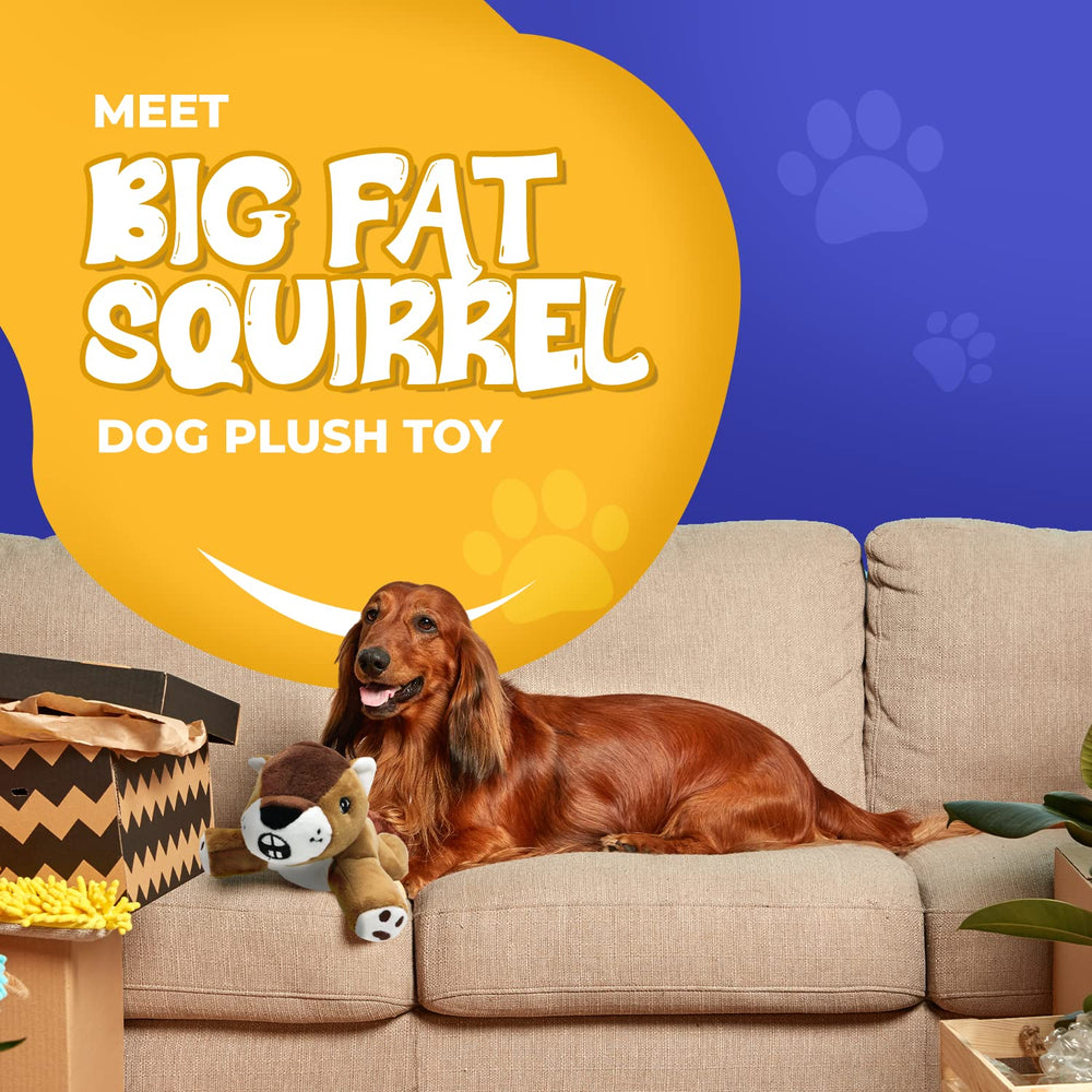 Dog Dog Big Fat Squirrel Toy squeaker inside delivers lively sounds during play sessions