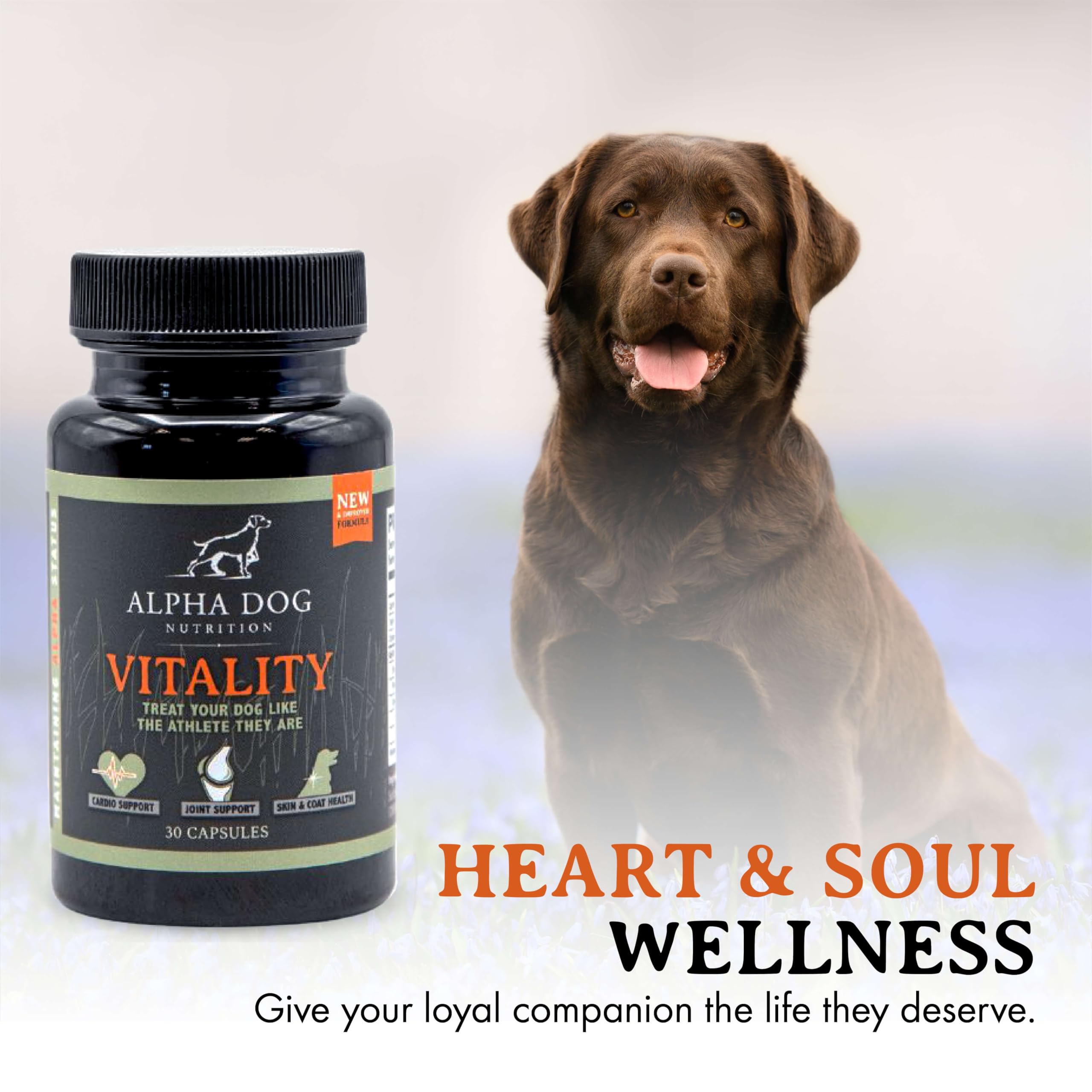 Dog dosing softgels ease image shows simple administration for busy owners