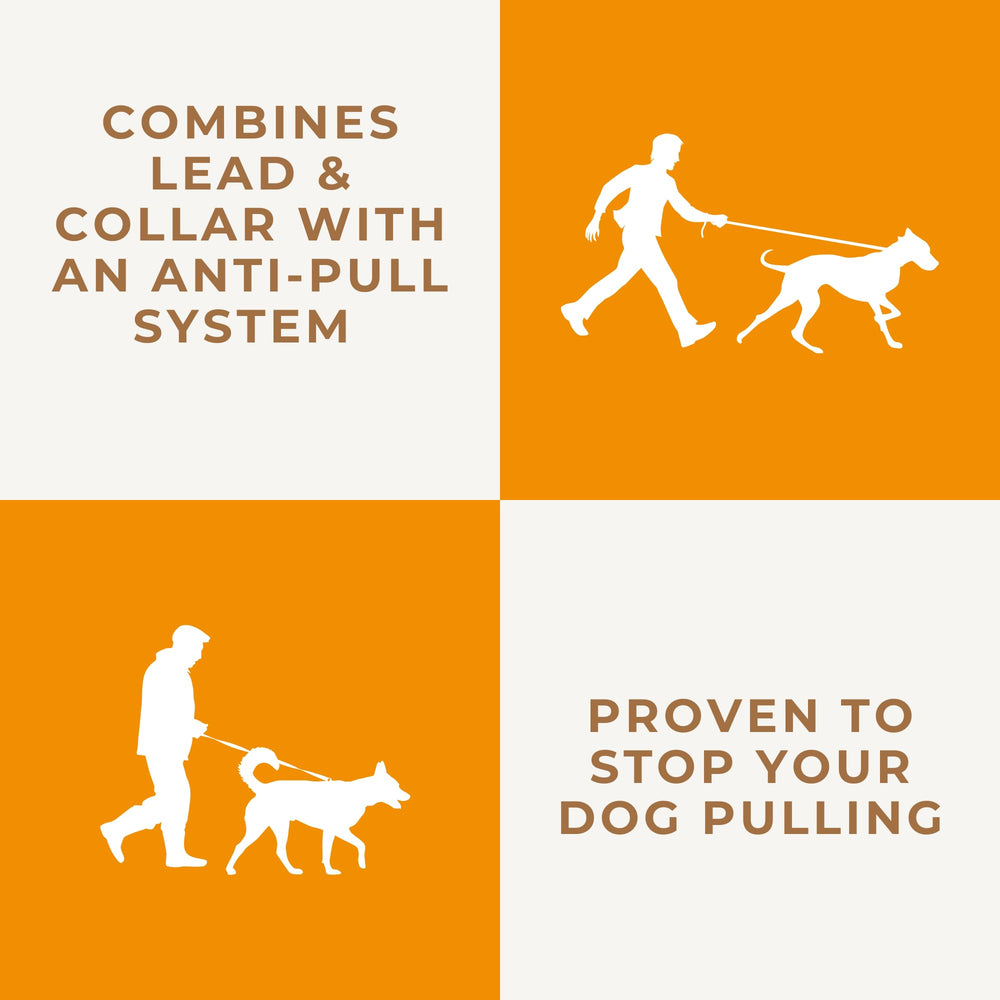 Dog & Field halter-lead anti-pull system closeup demonstrates passive training support.