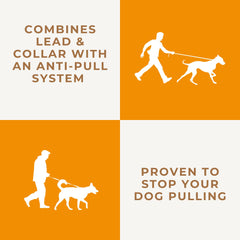Dog & Field halter-lead anti-pull system closeup demonstrates passive training support.