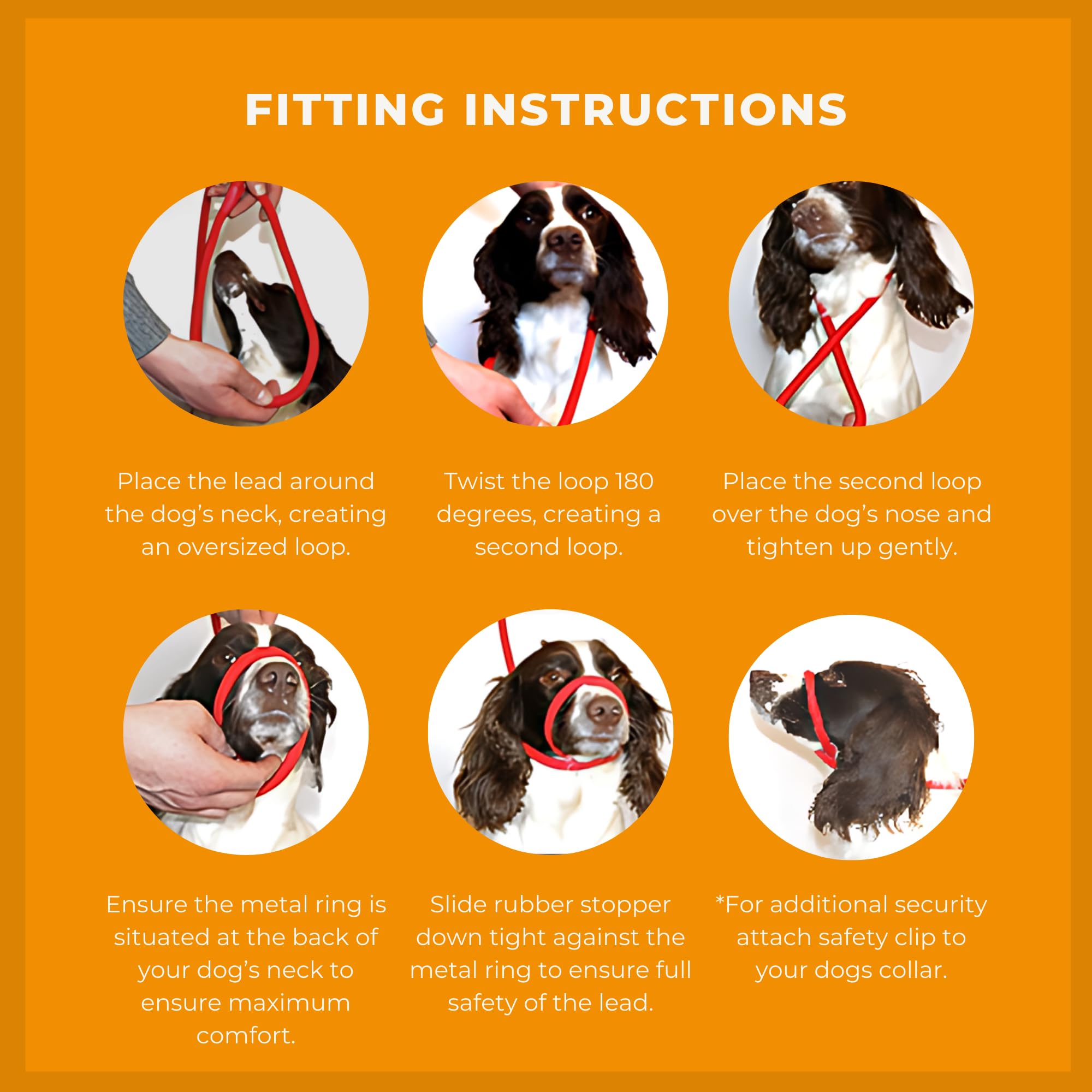 Dog & Field one-size-fits-all leash design shows harness-free convenient walking solution.