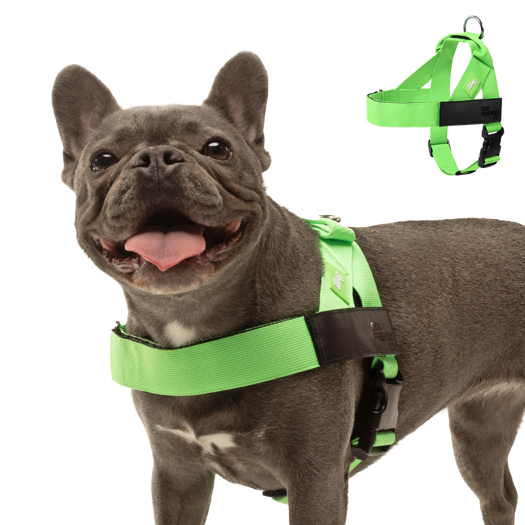 Dog Friendly Co DF Co dog harness adjustable neck and chest for a secure fit.