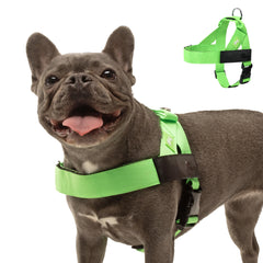 Dog Friendly Co DF Co dog harness adjustable neck and chest for a secure fit.