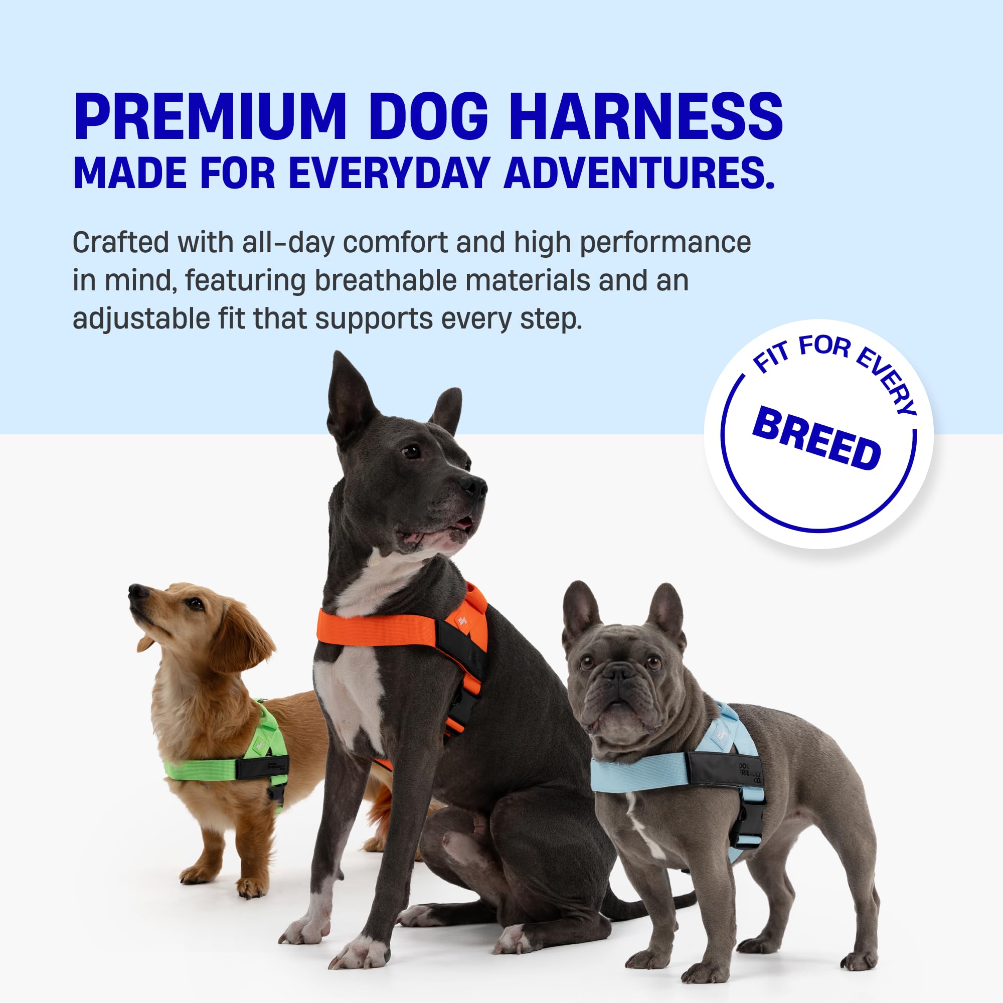 Dog Friendly Co DF Co harness with chafe-resistant webbing for long walks.