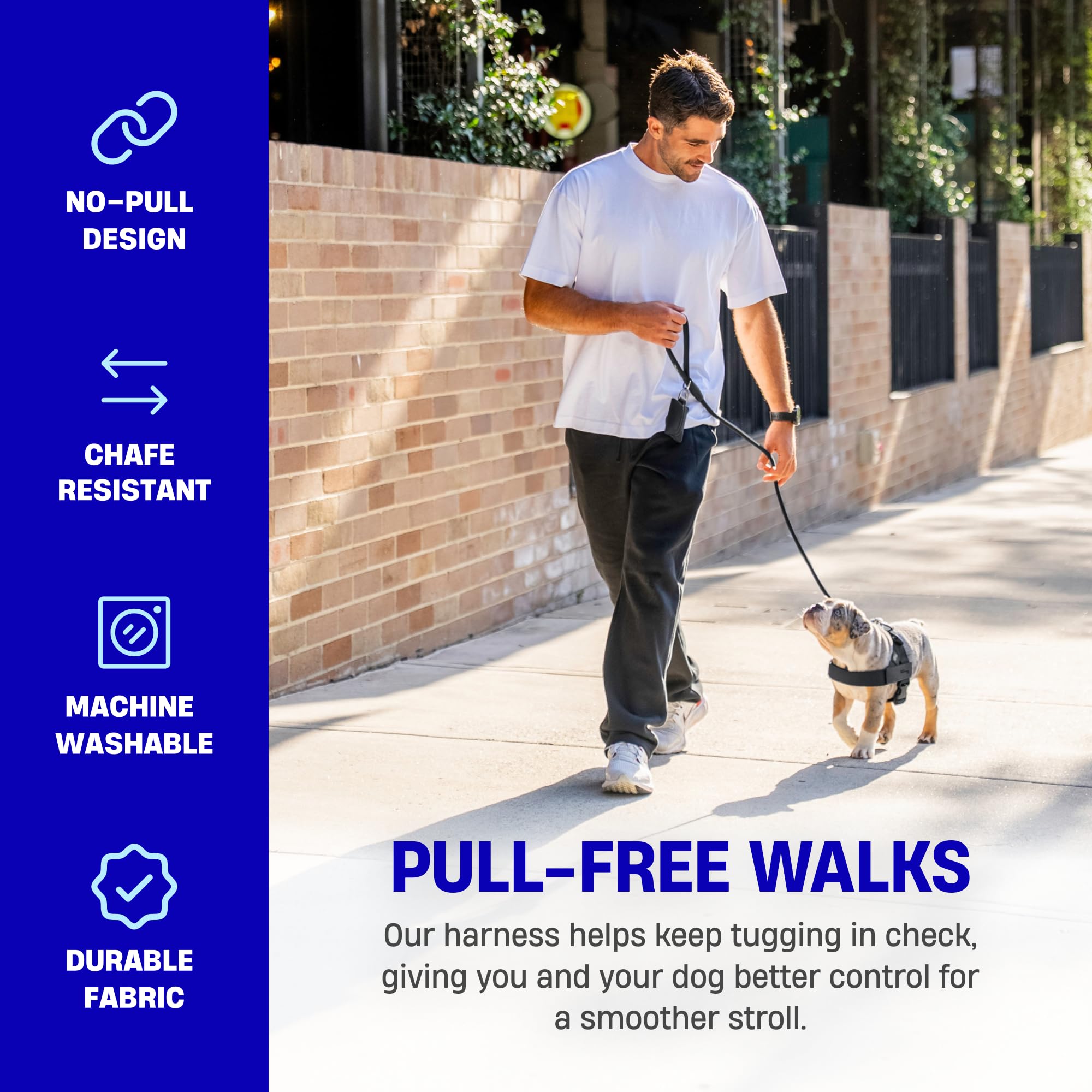 Dog Friendly Co DF Co heavy-duty D-ring for secure leash attachment on adventures.