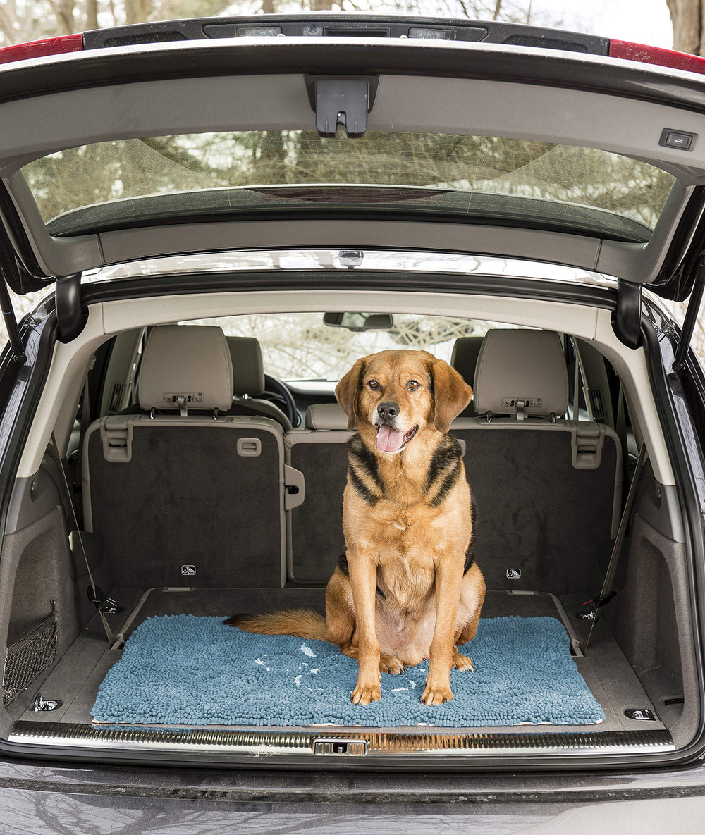 Dog Gone Smart Dirty Dog Doormat rapid-drying scene illustrates quick reuse after wet walks.