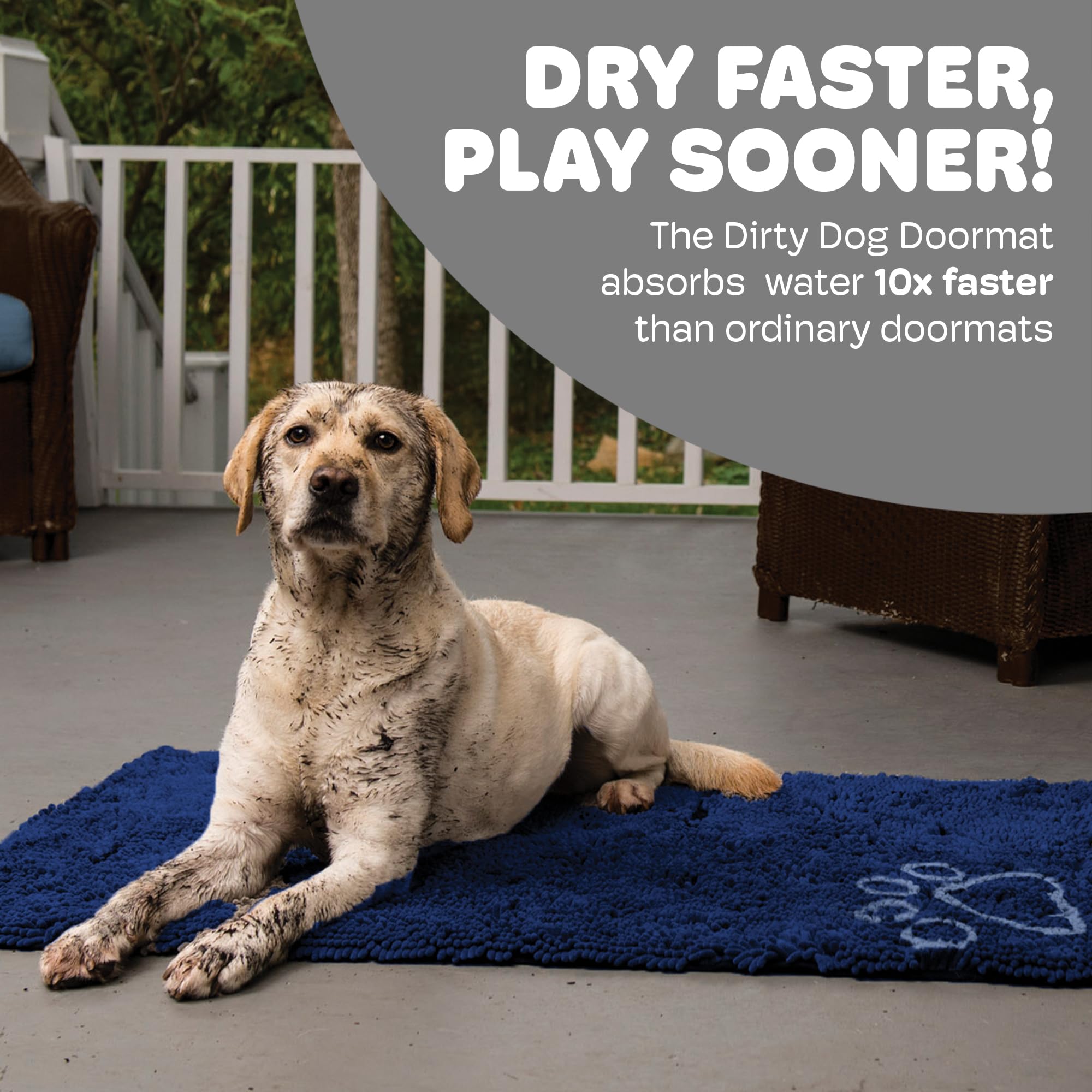 Dog Gone Smart Dirty Dog Doormat soft plush texture provides paw comfort