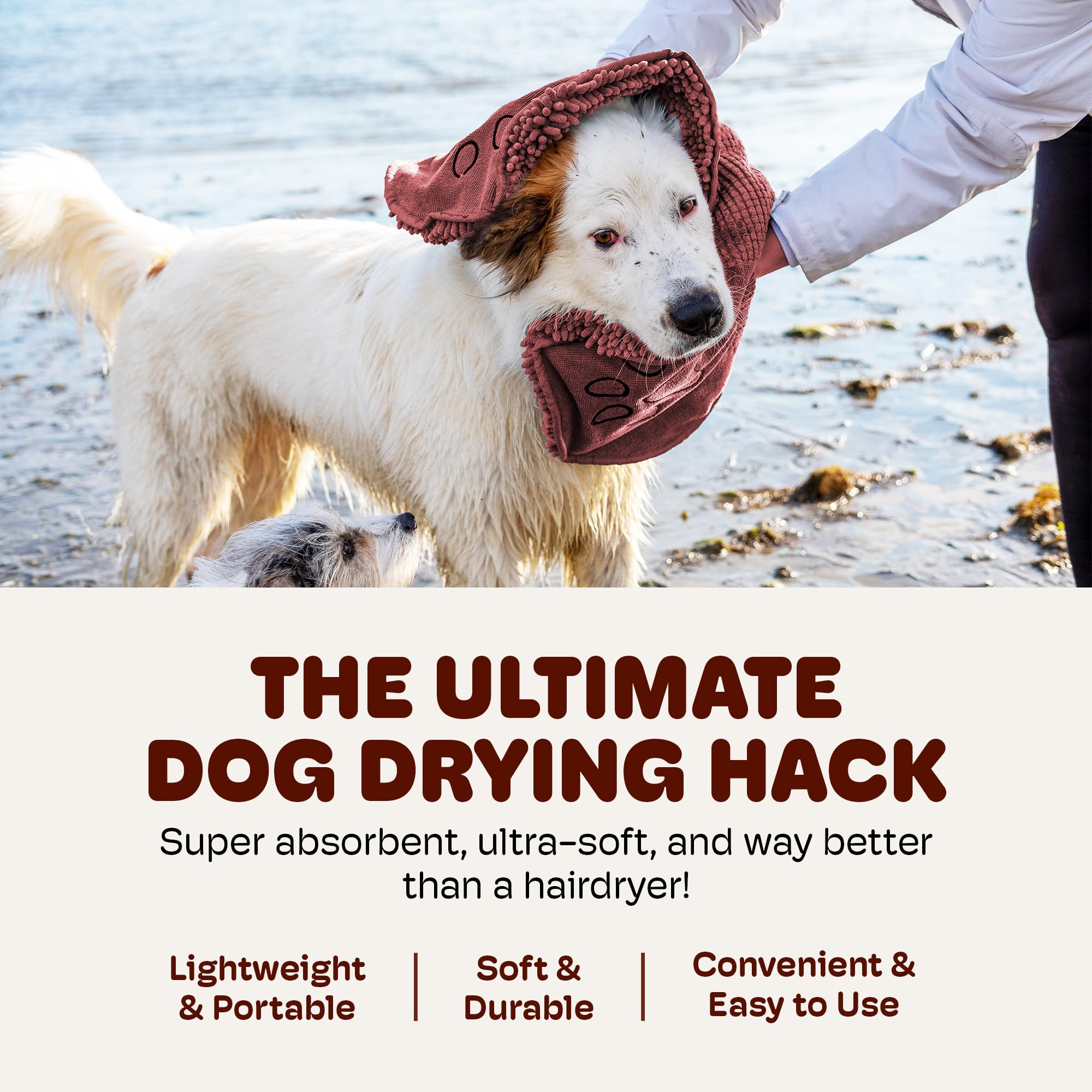 Dog Gone Smart Dirty Dog Shammy is machine washable for easy care.