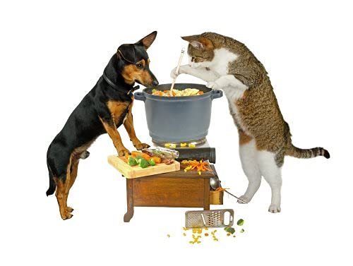 Dog Greens Seaweed Calcium measuring-spoon—precise dosing for daily use.