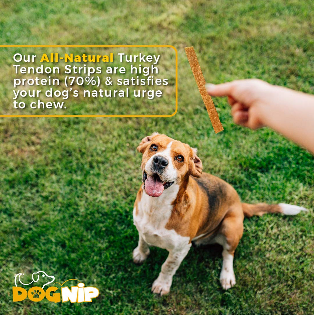 Dog Nip Gobble 6in turkey tendon pieces count—about 45–50 pieces per bag.