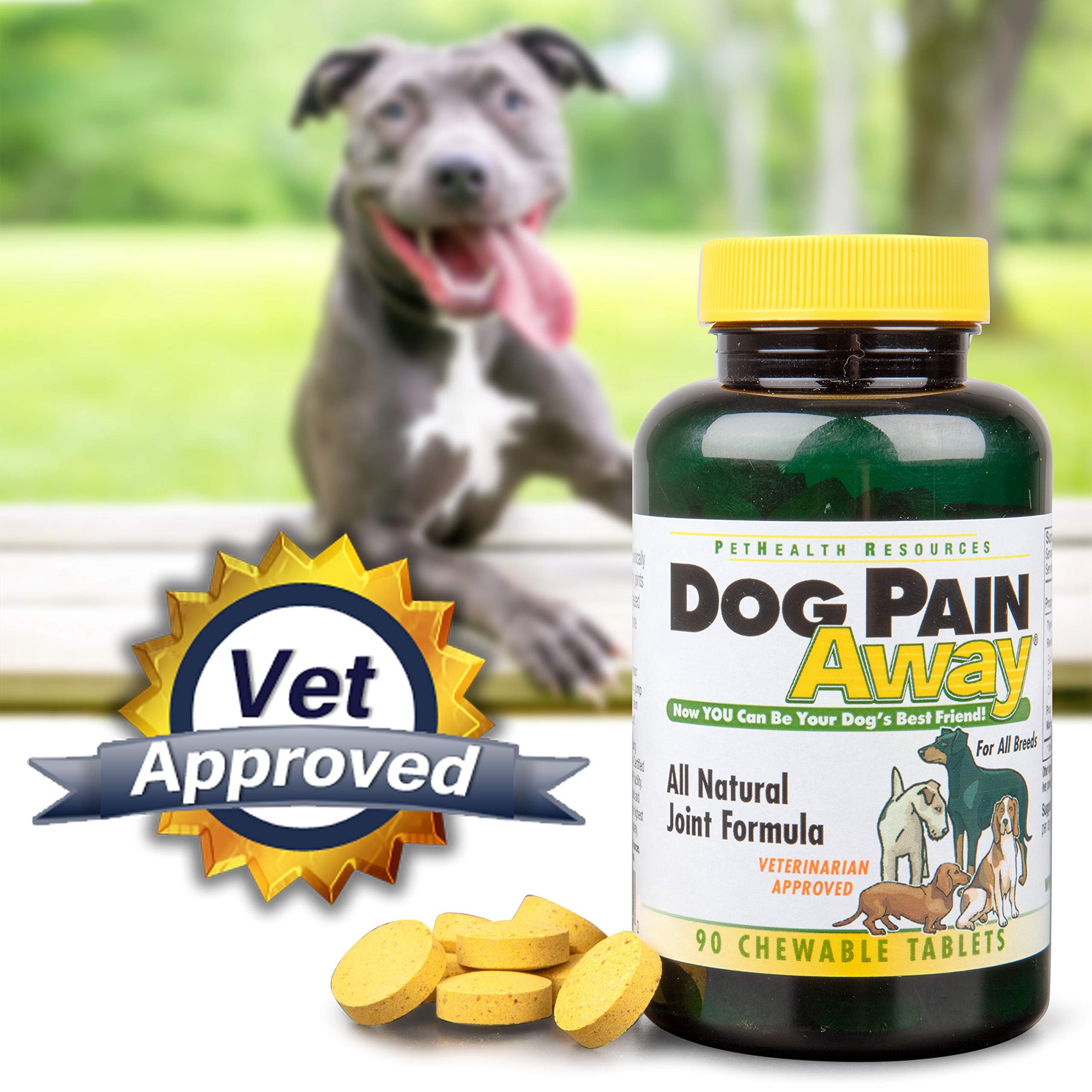 Dog Pain Away chews packaging shows easy daily joint care for pets.