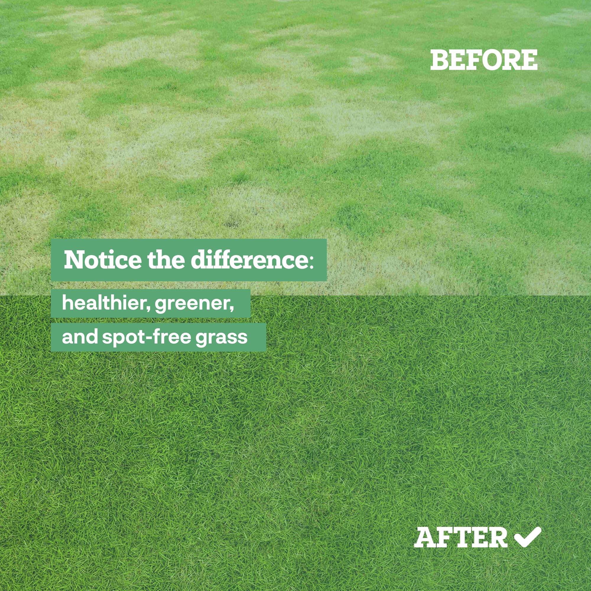 Dog Rocks 200g package compact lawn care solution.