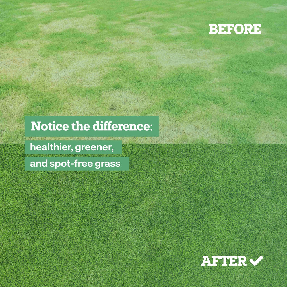 Dog Rocks 200g package compact lawn care solution.