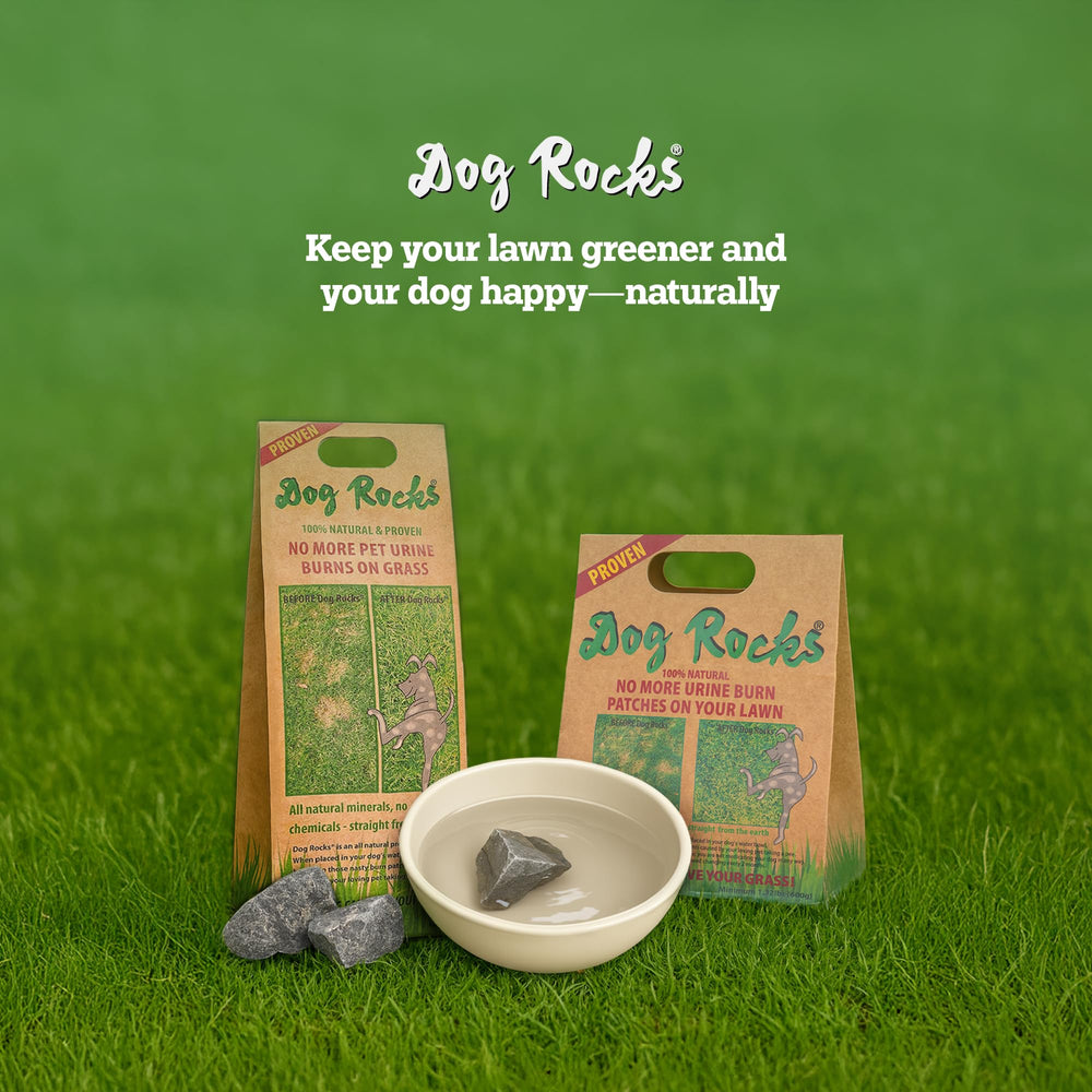 Dog Rocks greener-lawns-3-5-weeks indicates improvement within a few weeks.