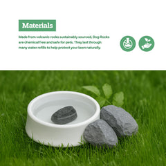 Dog Rocks lawn before after showcases greener grass with consistent use.