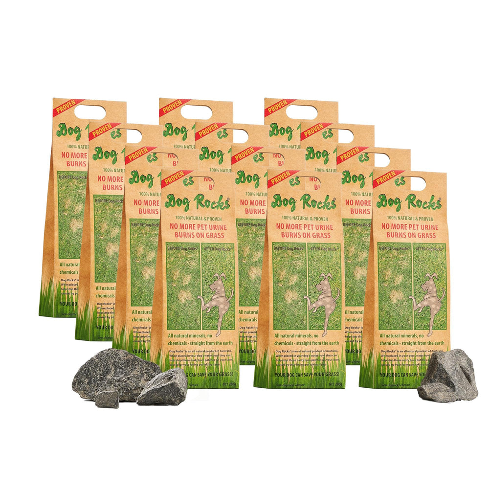 Dog Rocks lawn-burn-reduction shows greener grass with reduced urine damage.