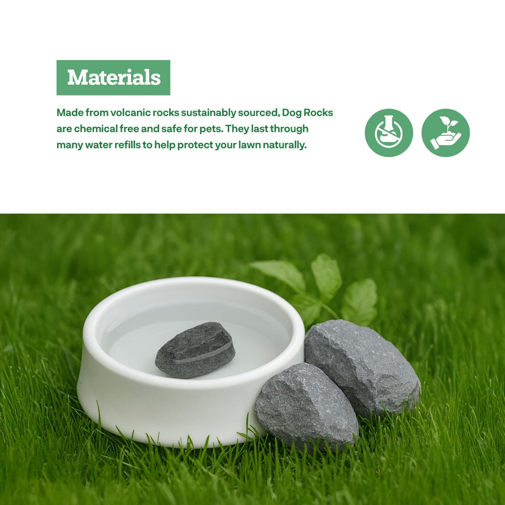 Dog Rocks water-bowl-use demonstrates easy daily integration with pets' hydration.