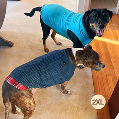 KYEESE dog sweater model wearing in fall for cozy outdoor warmth