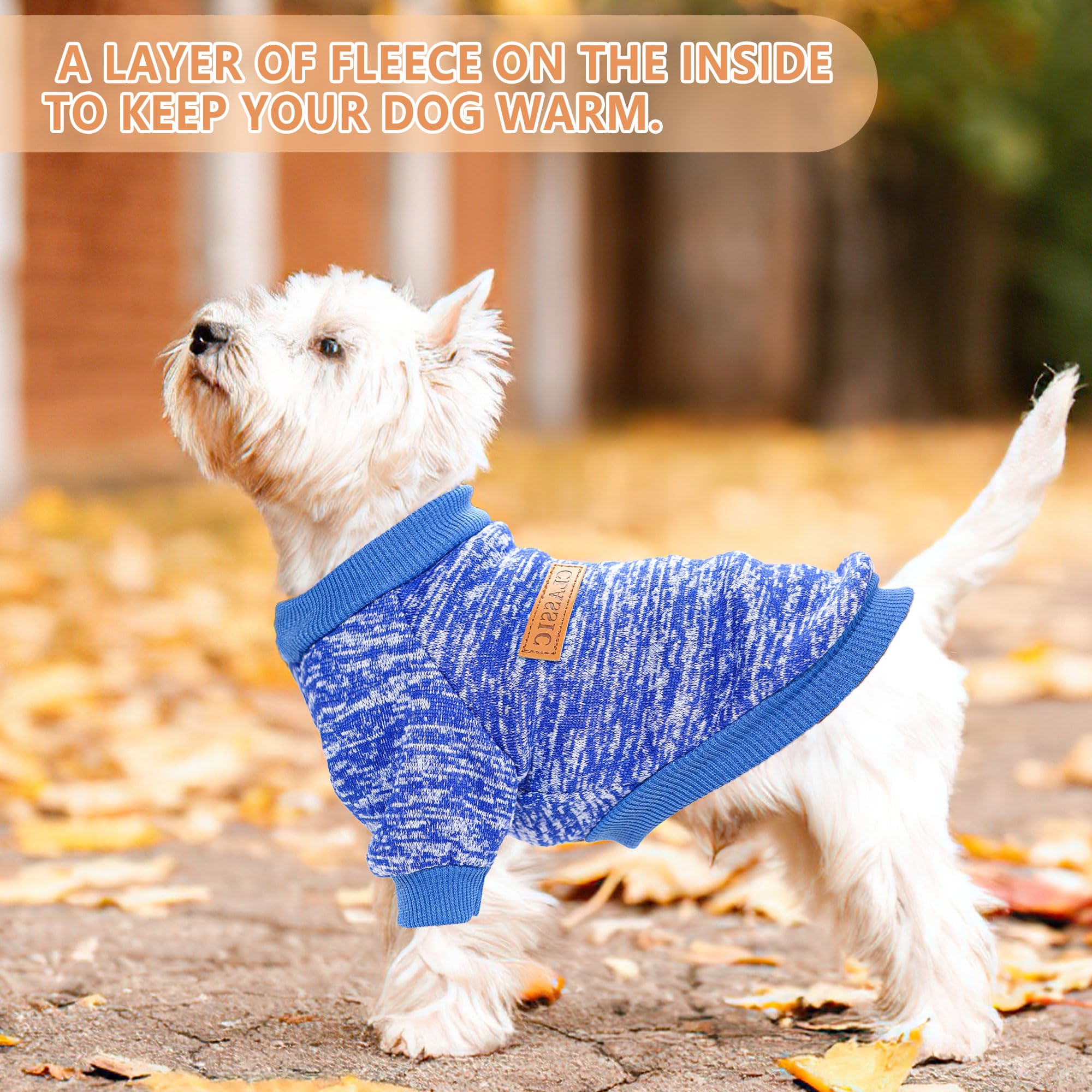Large dog wearing two-piece sweater highlights comfortable fit and coverage