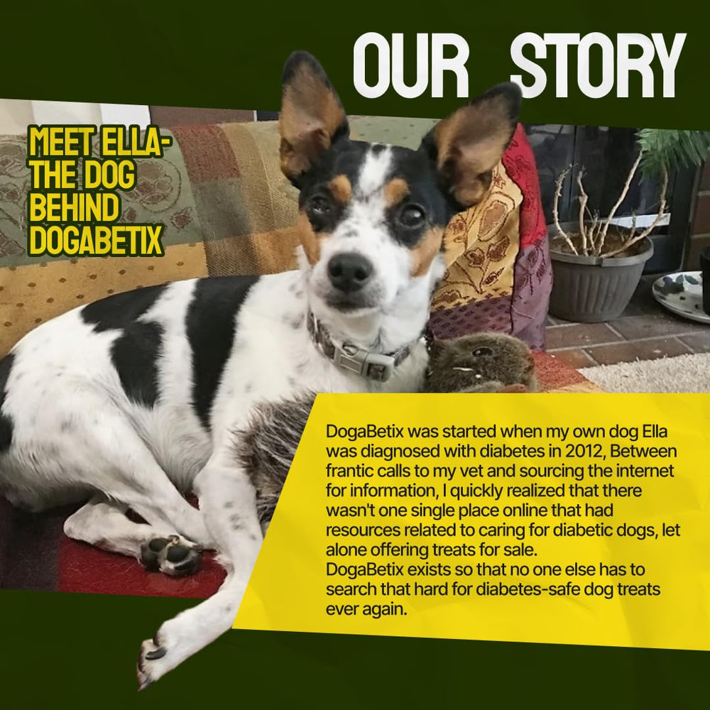 DogaBetix Ella's organic ingredients image emphasizes limited components for cleaner treats.