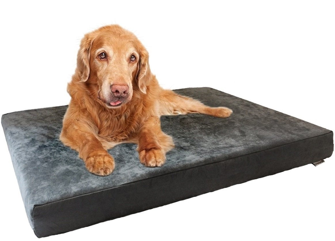 Dogbed4less orthopedic bed memory foam closeup showing dense support