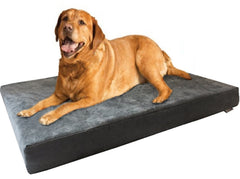 Dogbed4less XL orthopedic bed top view shows plush surface and generous area for restful naps.