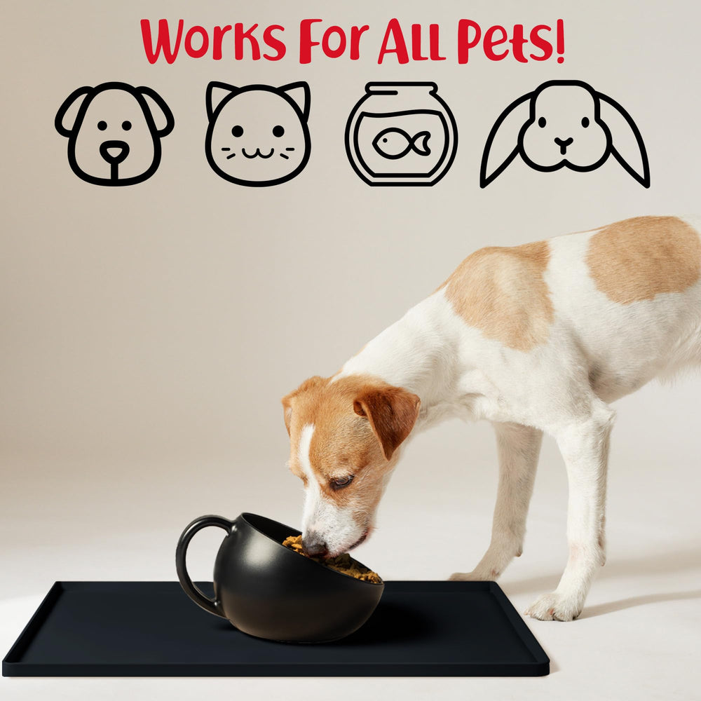 DogBuddy dishwasher-safe mat cleans quickly in sink or dishwasher.