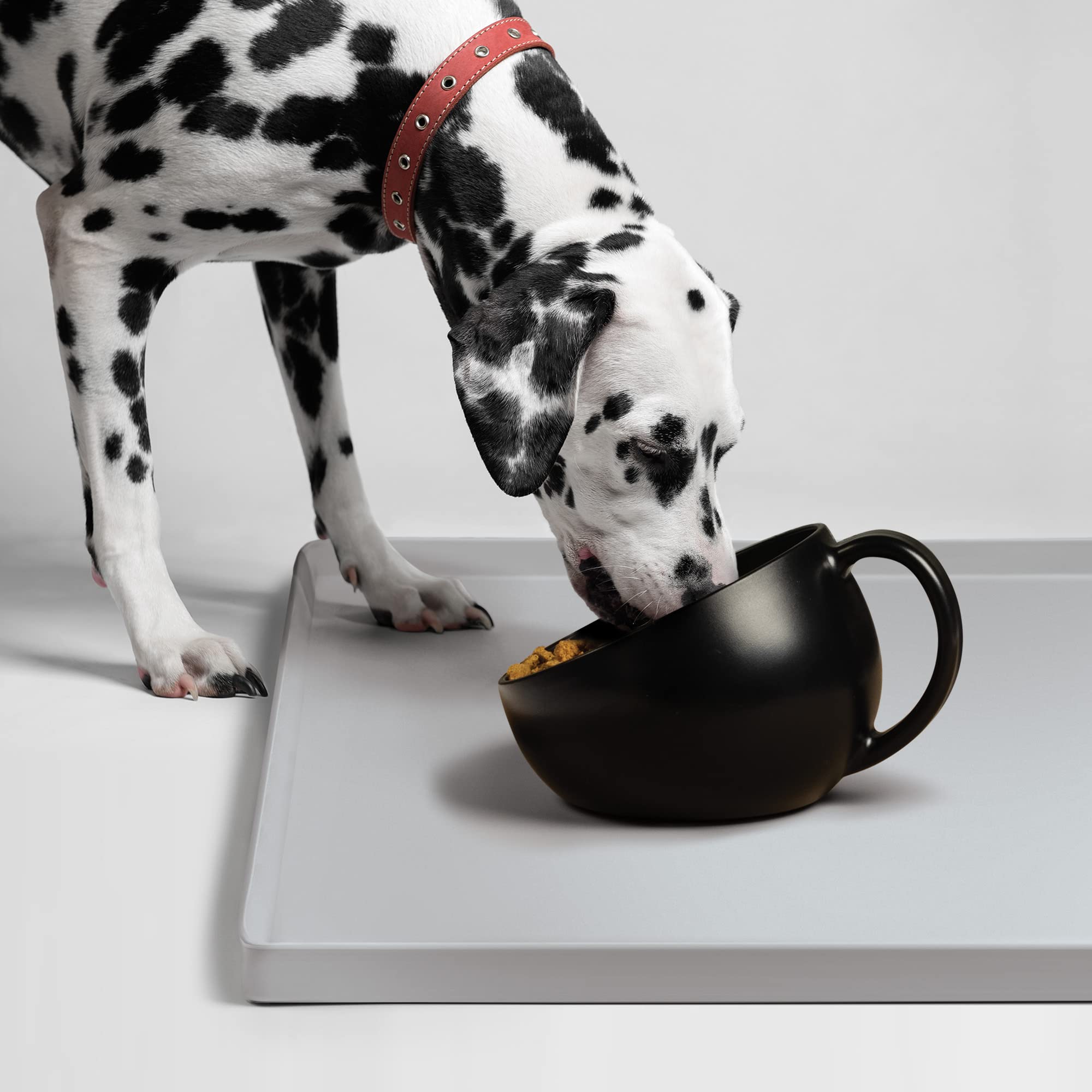 DogBuddy bowl capacity 40 oz supports full meals and hydration