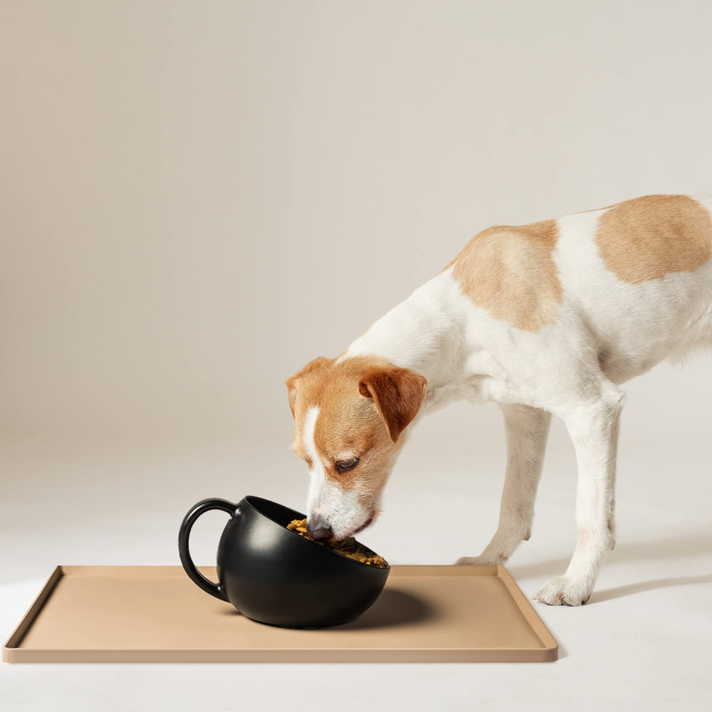 DogBuddy bowl back angled view emphasizes curved sides to cut mess